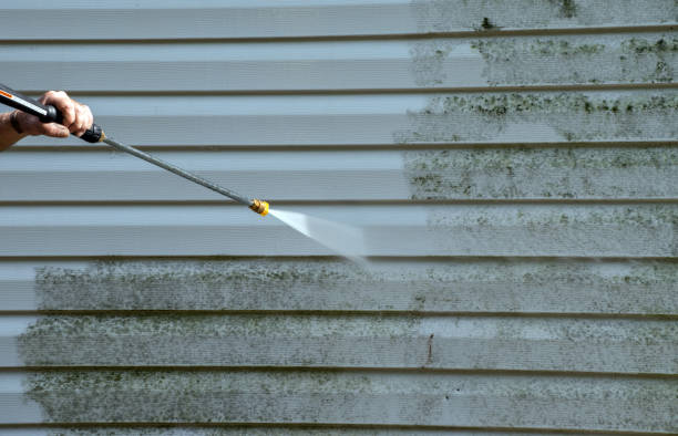 Best Patio and Deck Pressure Washing  in Naples Park, FL