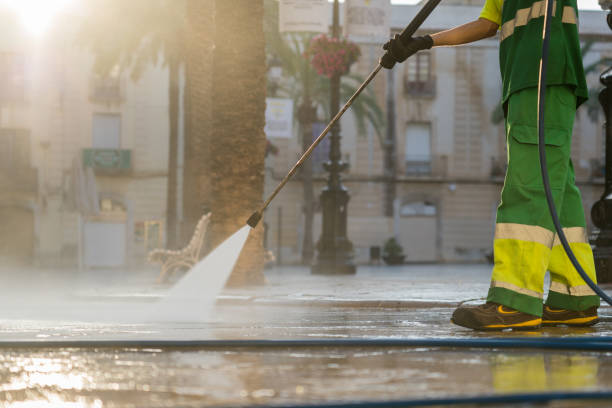 Animal Enclosure Cleaning in Naples Park, FL